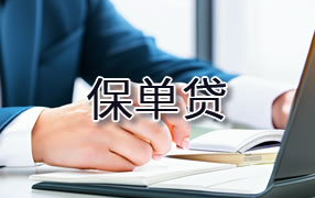 黄石保单贷